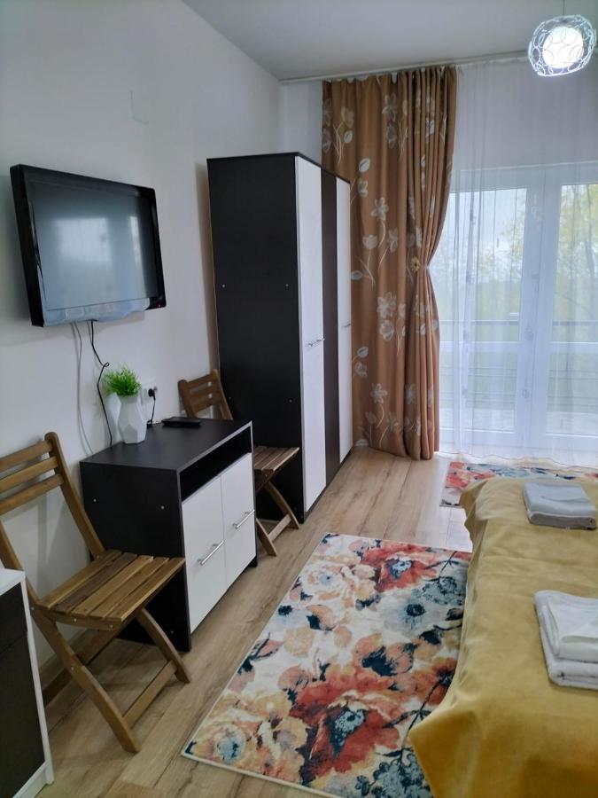 Conacul Doamnei Nucsoara 호텔 외부 사진